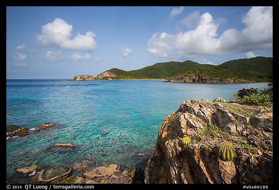 Turk cap cactus and blue waters, Little Lameshur Bay. Virgin Islands National Park, US Virgin Islands.