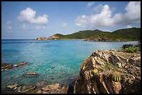 Turk cap cactus and blue waters, Little Lameshur Bay. Virgin Islands National Park ( color)
