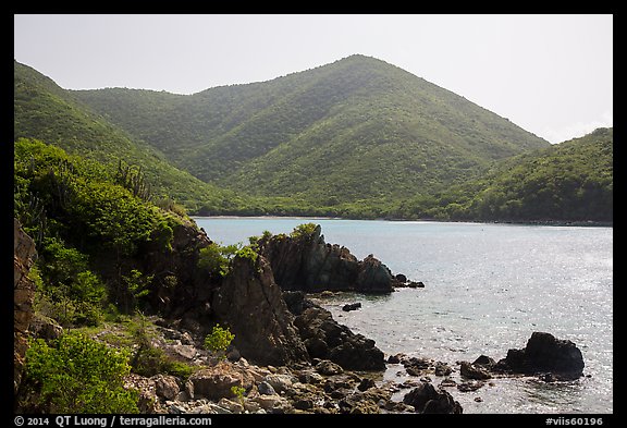Jagged shoreline and green hills, Great Lameshur Bay. Virgin Islands National Park (color)