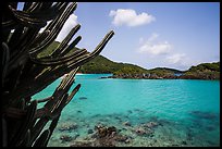 Cactus and Trunk Cay, Trunk Bay. Virgin Islands National Park ( color)