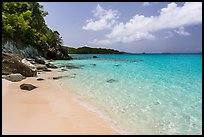 White sandy beach and turquoise waters, Trunk Bay. Virgin Islands National Park ( color)
