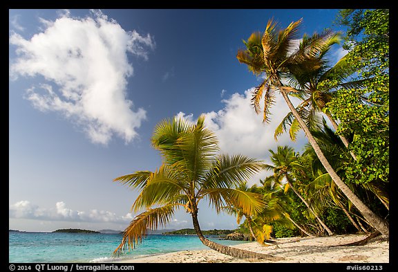 Salomon Beach. Virgin Islands National Park (color)