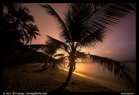 Palm tree and lights of St Thomas, Salomon Beach. Virgin Islands National Park (color)