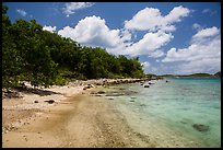 Shoreline and reef, Hassel Island. Virgin Islands National Park ( color)