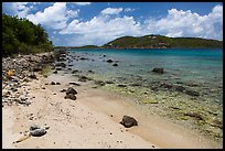 Beach, Hassel Island. Virgin Islands National Park ( color)