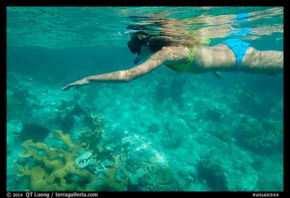 Woman snorkeling, Trunk Bay. Virgin Islands National Park (color)