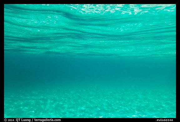 Underwater picture of sand and water. Virgin Islands National Park, US Virgin Islands.