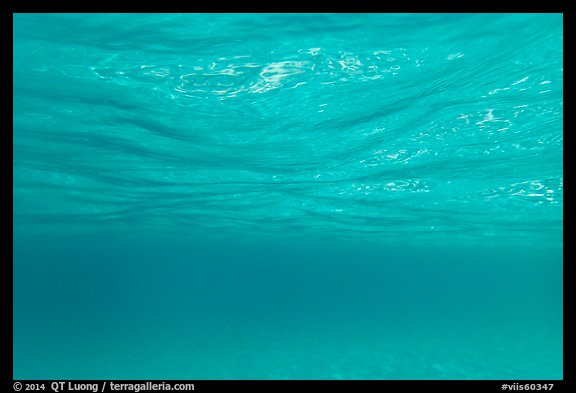 Underwater picture of water surface reflection. Virgin Islands National Park, US Virgin Islands.