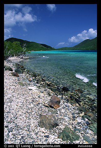 Shore and Turquoise waters, Leinster Bay. Virgin Islands National Park, US Virgin Islands.