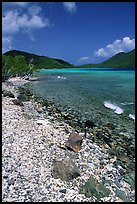 Shore and Turquoise waters, Leinster Bay. Virgin Islands National Park, US Virgin Islands.