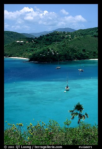 Tropical anchorage, Francis Bay. Virgin Islands National Park (color)