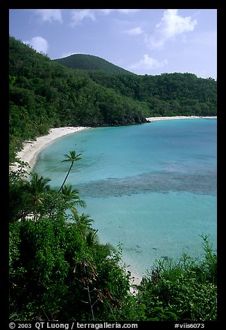 Tropical hills and beach, Hawksnest Bay. Virgin Islands National Park (color)