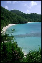 Tropical hills and beach, Hawksnest Bay. Virgin Islands National Park, US Virgin Islands. (color)