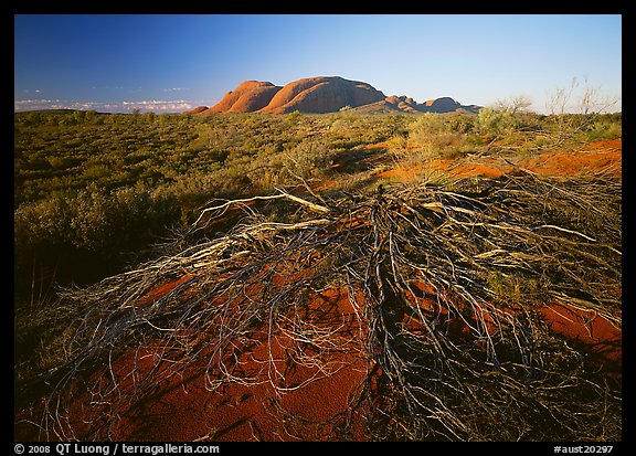 Olgas, late afternoon. Olgas, Uluru-Kata Tjuta National Park, Northern Territories, Australia