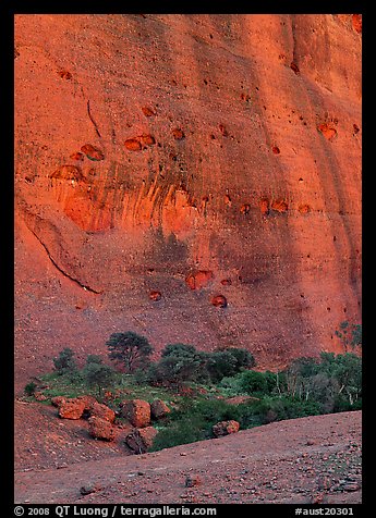 Rock wall, the Olgas. Olgas, Uluru-Kata Tjuta National Park, Northern Territories, Australia