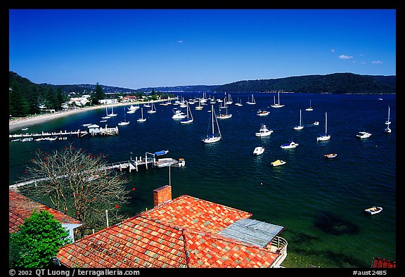 Yatchs anchored in the outskirts of the city. Sydney, New South Wales, Australia