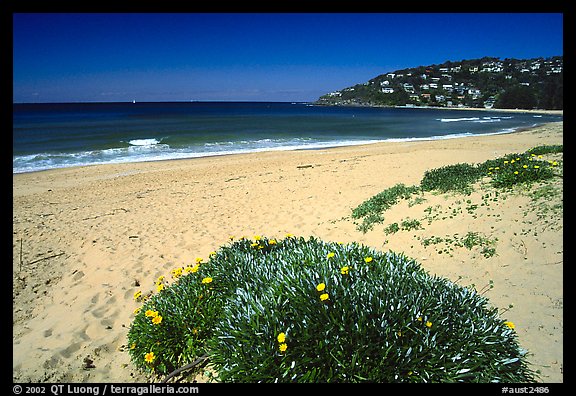 Beach north of the city. Sydney, New South Wales, Australia