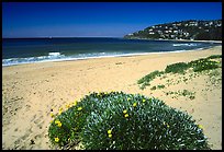 Beach north of the city. Sydney, New South Wales, Australia (color)