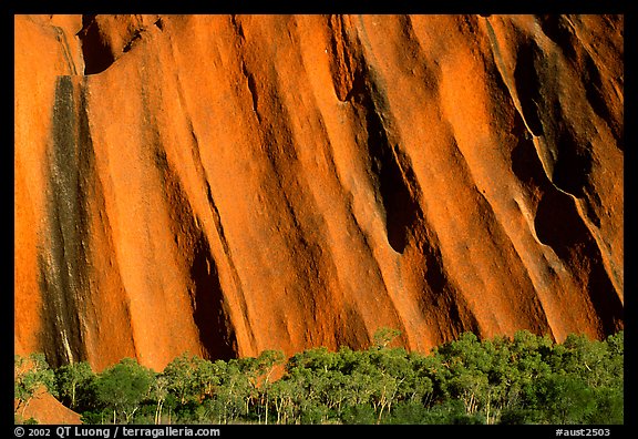 Walls of Ayers Rock. Uluru-Kata Tjuta National Park, Northern Territories, Australia (color)