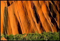 Walls of Ayers Rock. Uluru-Kata Tjuta National Park, Northern Territories, Australia ( color)
