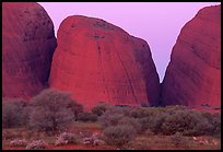 Olgas, dusk. Olgas, Uluru-Kata Tjuta National Park, Northern Territories, Australia (color)