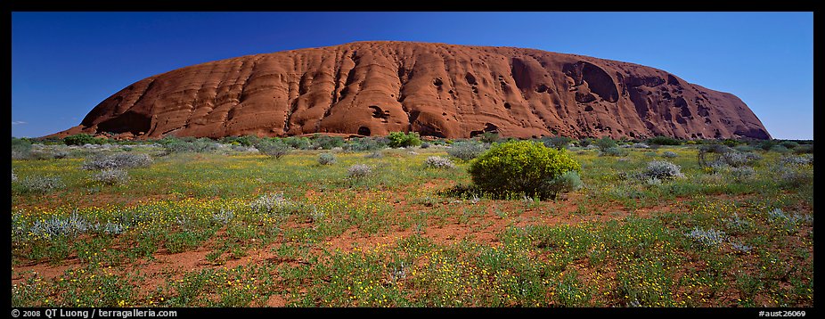 Ayers rock at noon. Uluru-Kata Tjuta National Park, Northern Territories, Australia (color)