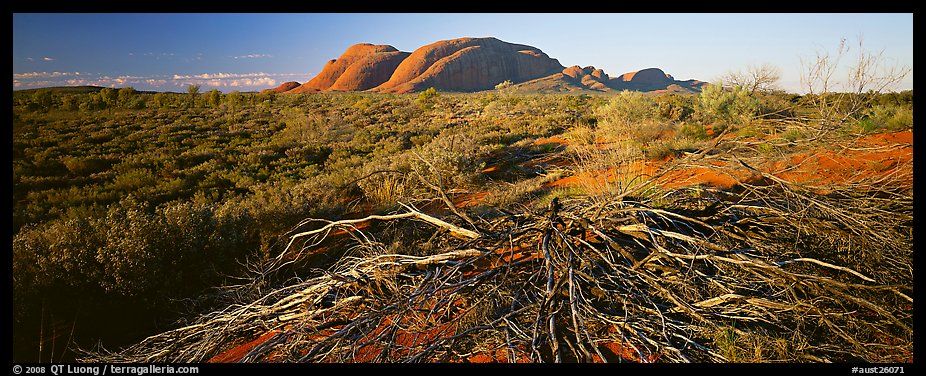 Australian outback, Olgas. Olgas, Uluru-Kata Tjuta National Park, Northern Territories, Australia