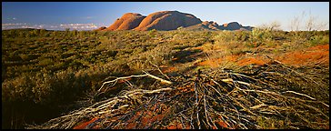 Australian outback, Olgas. Olgas, Uluru-Kata Tjuta National Park, Northern Territories, Australia