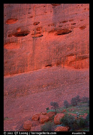 Detail of rock wall of the Olgas. Olgas, Uluru-Kata Tjuta National Park, Northern Territories, Australia