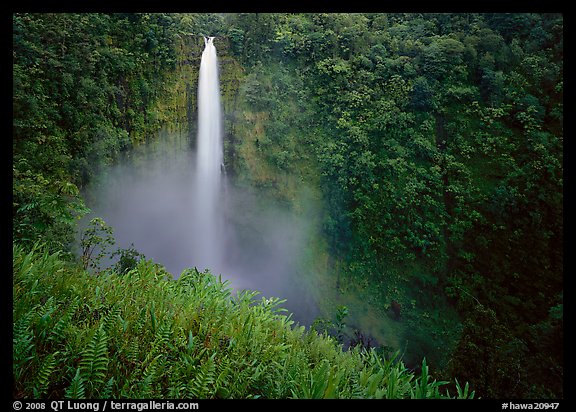 Akaka Falls. Hawaii, USA (color)