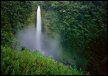 Akaka Falls. Akaka Falls State Park, Big Island, Hawaii, USA ( color)