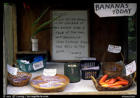 Self-serve local produce stand. Big Island, Hawaii, USA (color)