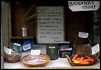 Self-serve local produce stand. Big Island, Hawaii, USA ( color)