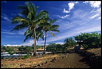 Lapakahi historical park. Big Island, Hawaii, USA (color)