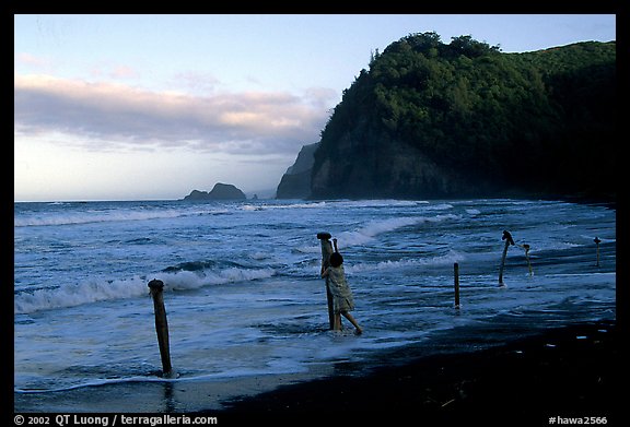 Hawaiian woman piling a stone on a stick as a gesture of reverence, Polulu Beach. Big Island, Hawaii, USA
