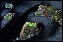 Black sand and mossy rocks, Punaluu Beach. Big Island, Hawaii, USA