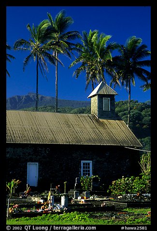 Church (1860) and palm trees, Keanae Peninsula. Maui, Hawaii, USA