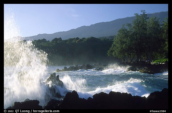 Crashing wave, Keanae Peninsula. Maui, Hawaii, USA