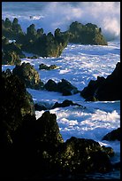 Sharp volcanic Rocks and surf, Keanae Peninsula. Maui, Hawaii, USA