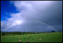 Rainbow over grassy cemetery. Maui, Hawaii, USA (color)