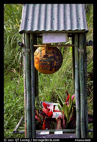 Self-serve flower and fruit stand. Maui, Hawaii, USA