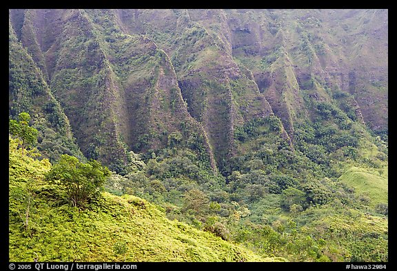 Flutted mountains near Pali highway,. Oahu island, Hawaii, USA (color)