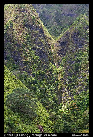 Steep walls covered with vegetation, Koolau Mountains. Oahu island, Hawaii, USA