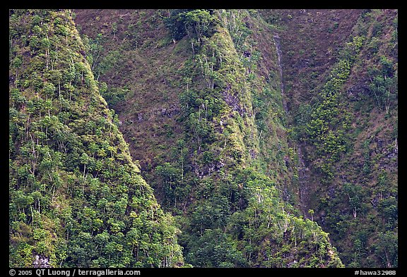 Steep ridges near Pali Highway, Koolau Mountains. Oahu island, Hawaii, USA