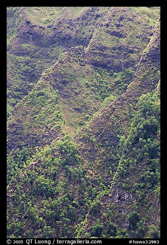 Ridges on pali. Oahu island, Hawaii, USA