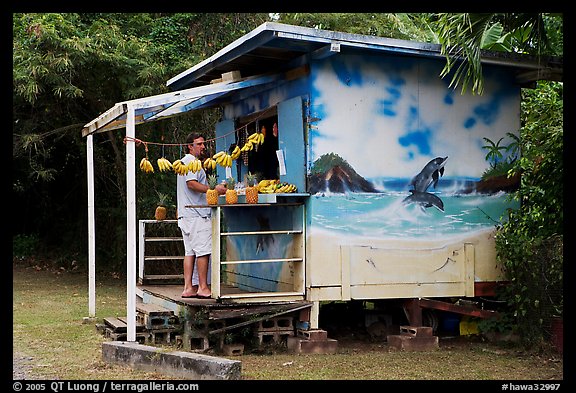 Man shopping at decorated fruit stand. Oahu island, Hawaii, USA (color)
