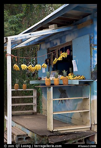 Decorated fruit stand. Oahu island, Hawaii, USA (color)