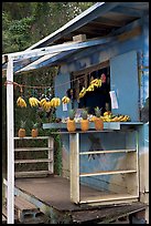 Decorated fruit stand. Oahu island, Hawaii, USA ( color)