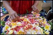 Fresh flowers used for lei making, International Marketplace. Waikiki, Honolulu, Oahu island, Hawaii, USA