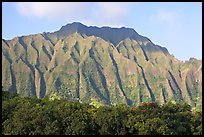 Fluted mountains, Koolau range, early morning. Oahu island, Hawaii, USA ( color)